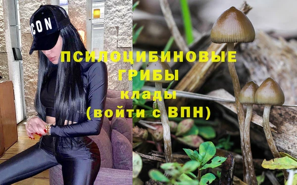 MDMA Premium VHQ Белокуриха