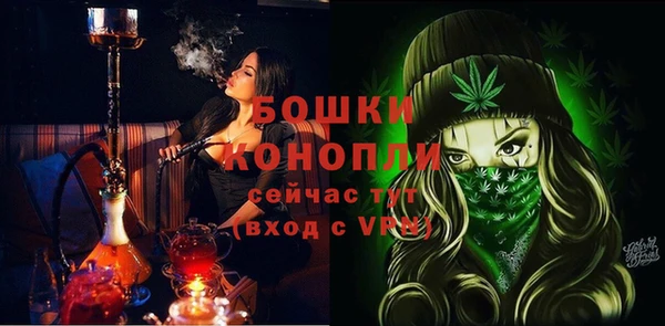 прущие крисы Дегтярск
